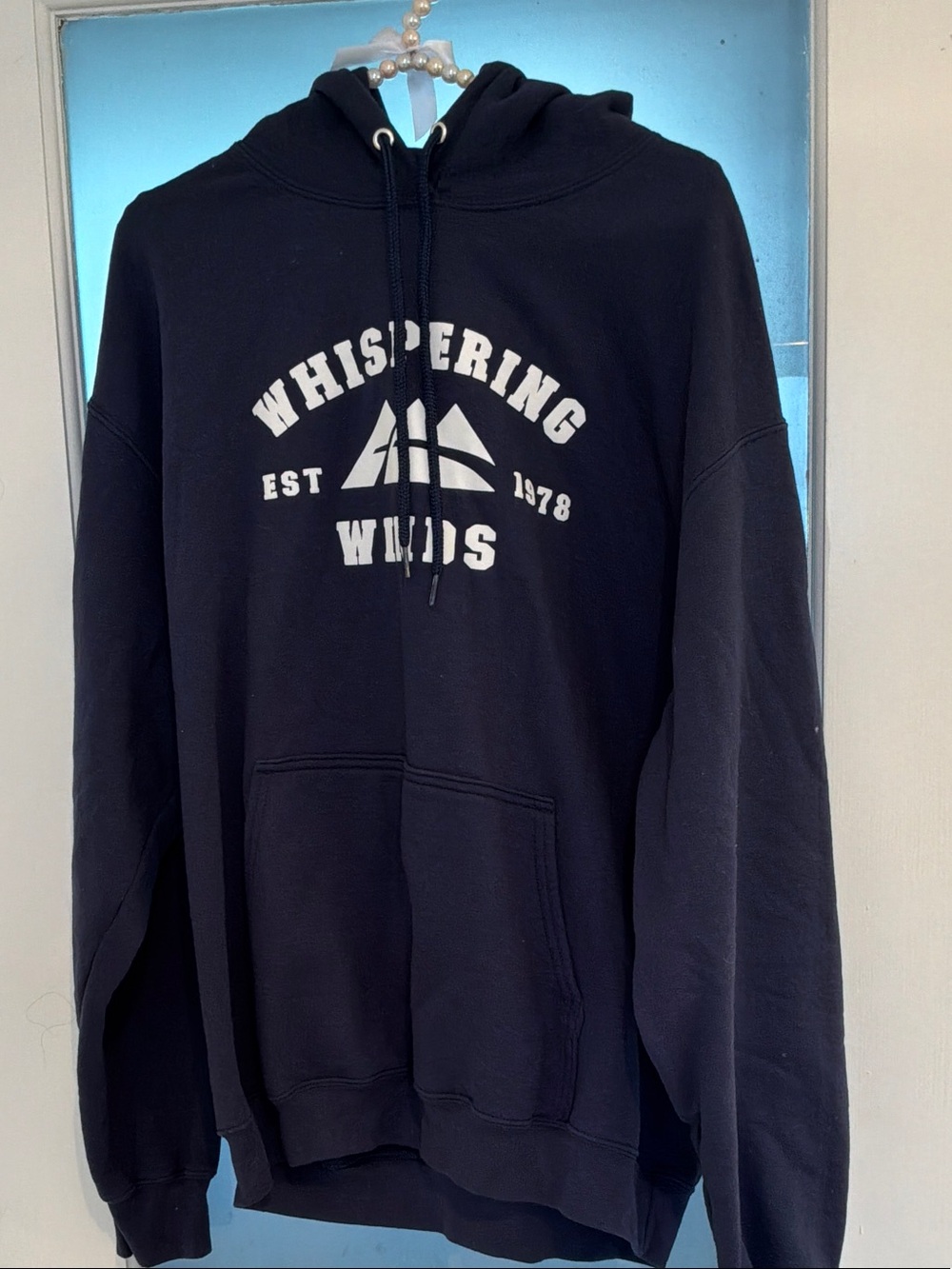 Navy Hoodie Sweatshirt